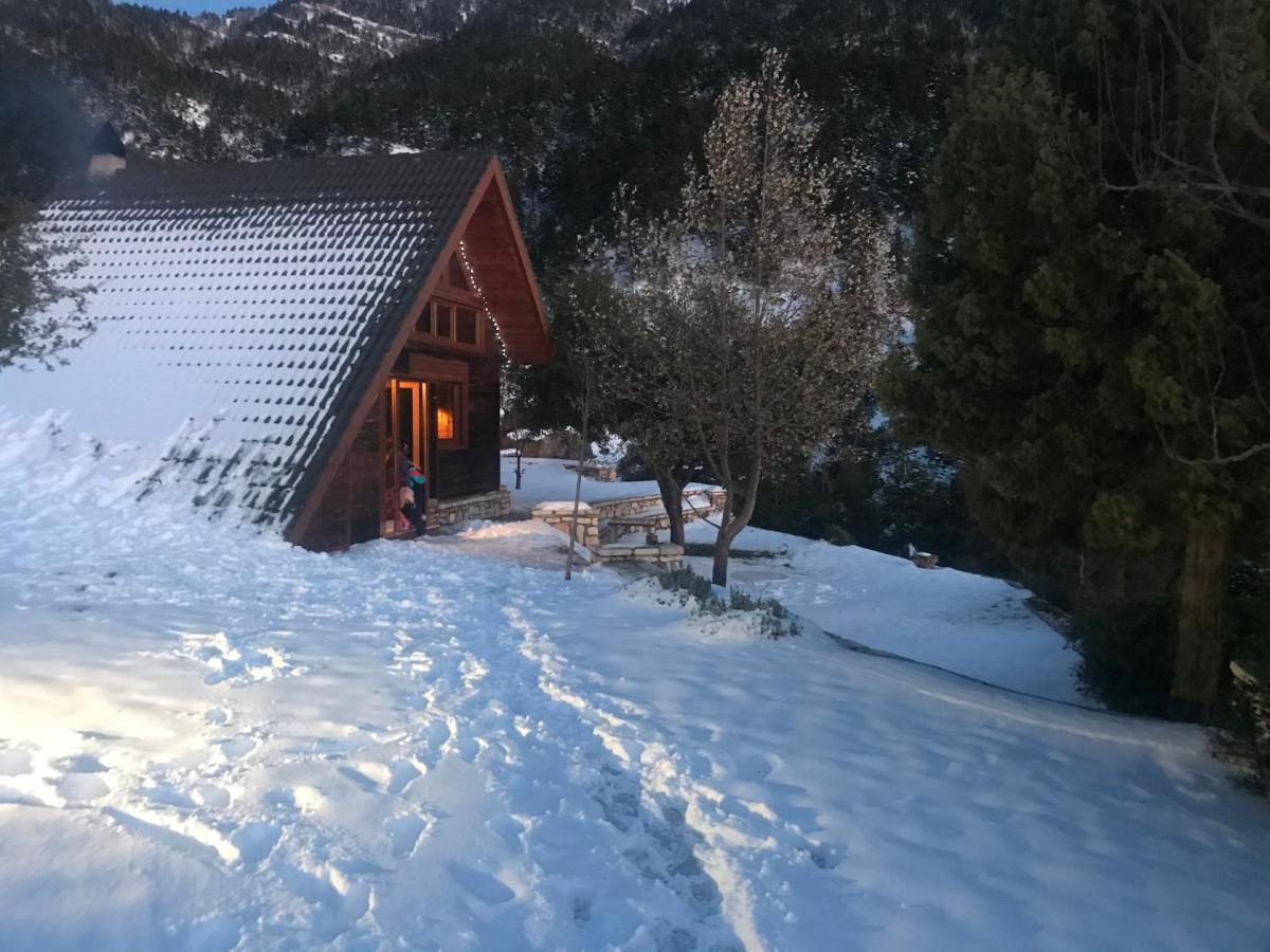 Chalet In The Forest กาลาวริตา ภายนอก รูปภาพ