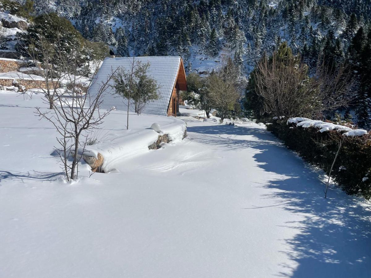 Chalet In The Forest กาลาวริตา ภายนอก รูปภาพ