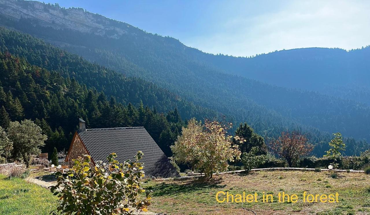 Chalet In The Forest กาลาวริตา ภายนอก รูปภาพ
