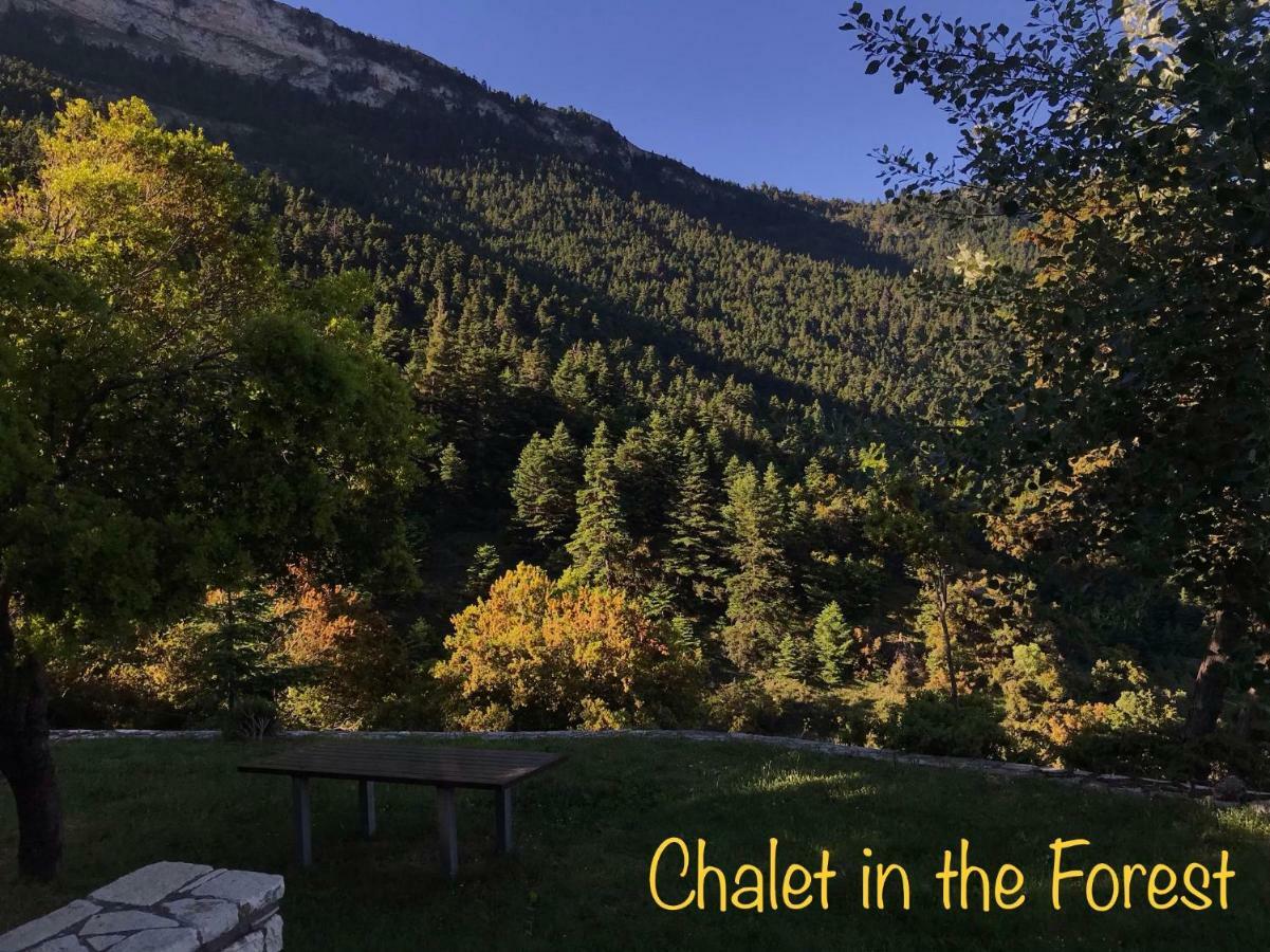 Chalet In The Forest กาลาวริตา ภายนอก รูปภาพ
