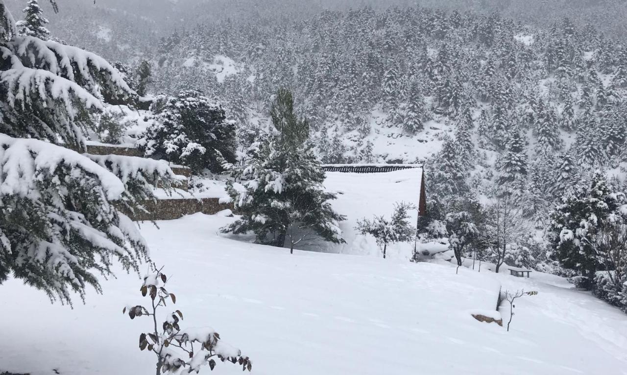 Chalet In The Forest กาลาวริตา ภายนอก รูปภาพ